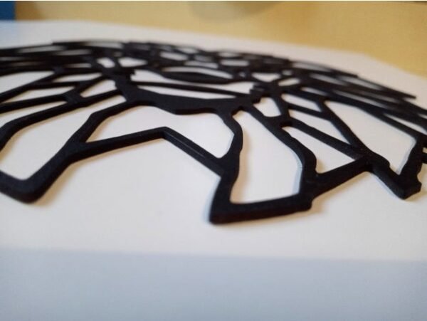 Lion Wall Sculpture 2D