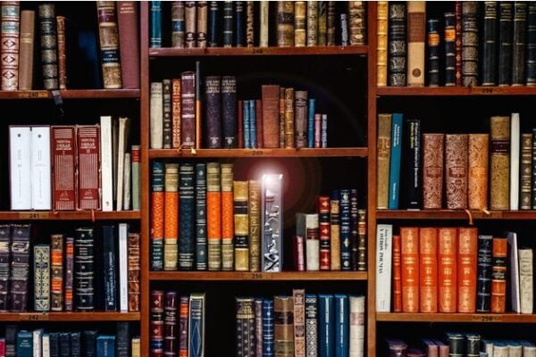Magic Book With Medieval Castle Bookshelf Insert