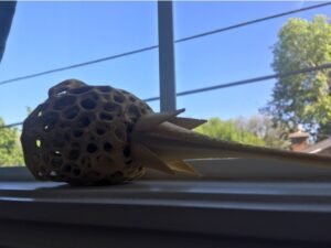 Voronoi Gold Rose for Mother's Day, Valentine's Day, Anniversary, Birthday, etc!