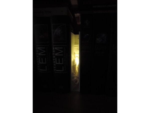 Magic Book With Medieval Castle Bookshelf Insert