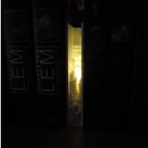 Magic Book With Medieval Castle Bookshelf Insert