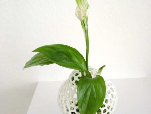 Mini Plant Space Rocket With Pot