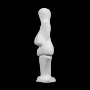 Venus of Dolní Věstonice in The Moravské Zemské Museum, Czech Republic