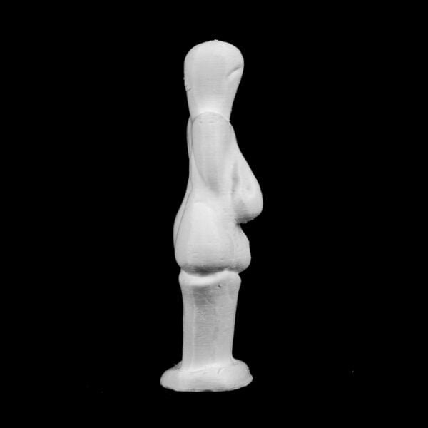 Venus of Dolní Věstonice in The Moravské Zemské Museum, Czech Republic