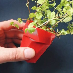 Twist Succulent Planter