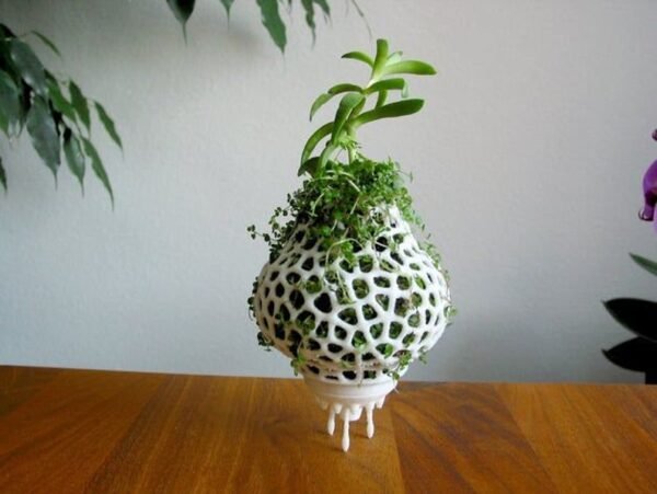 Mini Plant Space Rocket With Pot