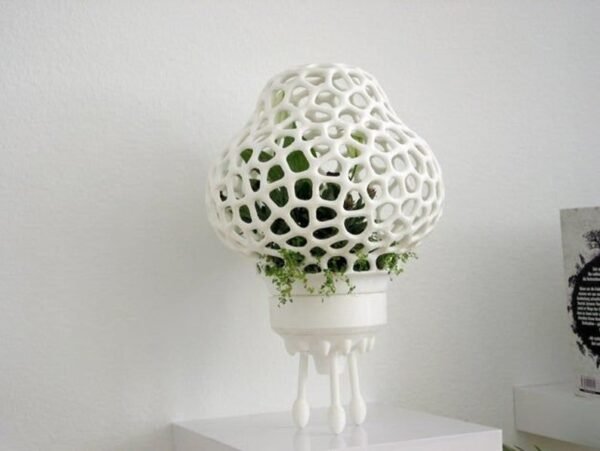 Plant Space Rocket With Pot