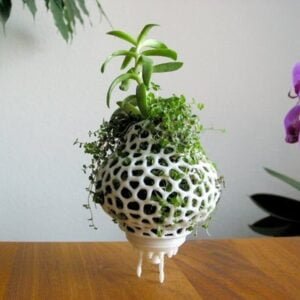 Mini Plant Space Rocket With Pot