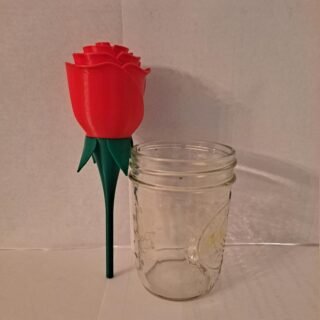 Forever Rose Gift For love