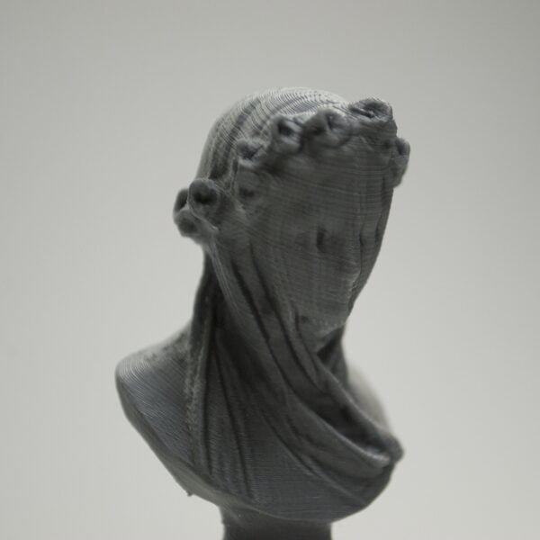 The Veiled Lady Sculpture 3d printed