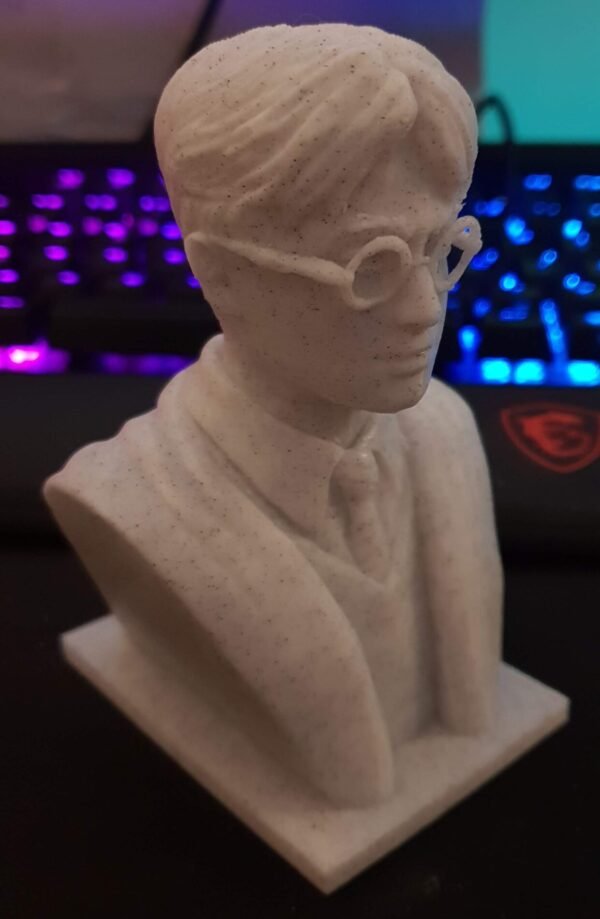Harry Potter Bust 3d printed