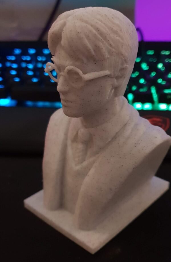 Harry Potter Bust 3d printed