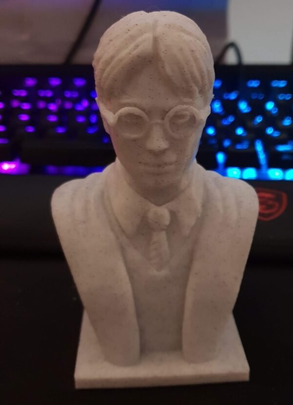 Harry Potter Bust 3d printed