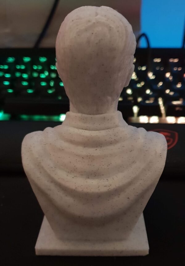 Harry Potter Bust 3d printed