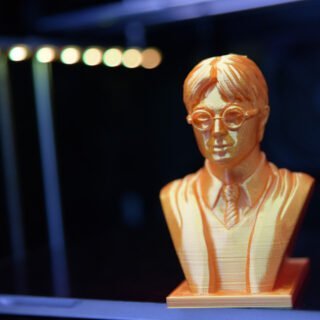 Harry Potter Bust 3d printed