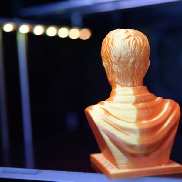 Harry Potter Bust 3d printed