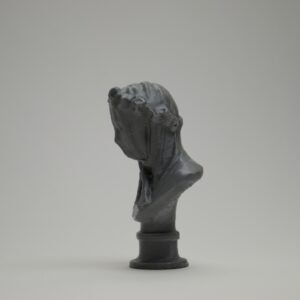 The Veiled Lady Sculpture 3d printed