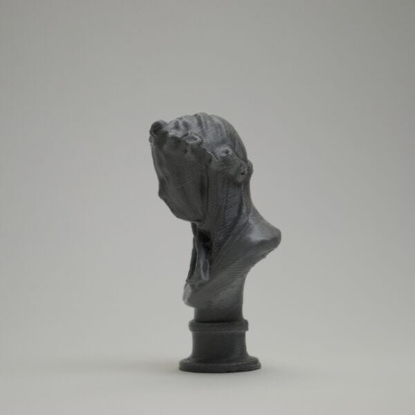 The Veiled Lady Sculpture 3d printed