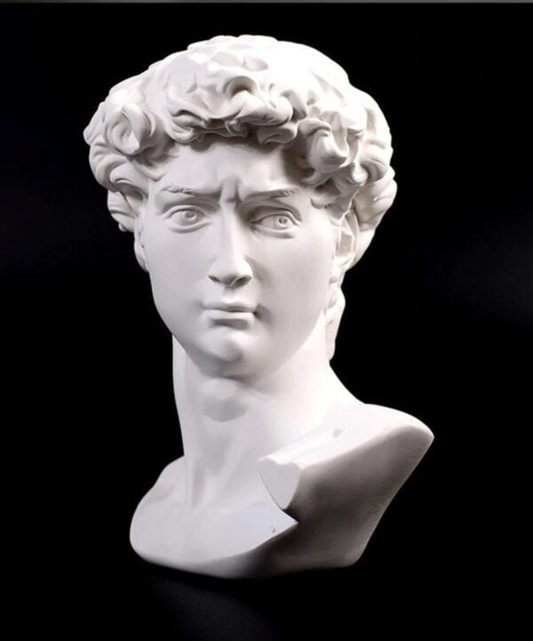 Michelangelo's David Head Bust Art Sculpture