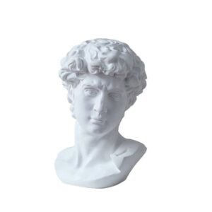 Michelangelo's David Head Bust Art Sculpture
