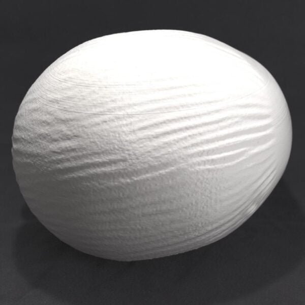 Replica Of Sleeping Muse Sculpture by Constantin Brâncuși