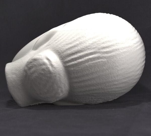 Replica Of Sleeping Muse Sculpture by Constantin Brâncuși