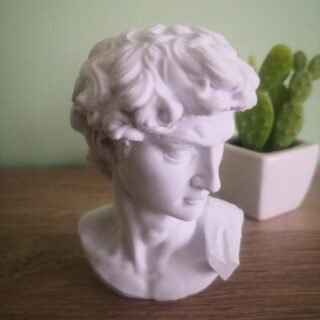 David Bust - Michelangelo 3D Print