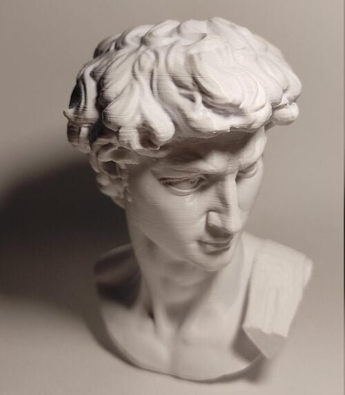 David Bust - Michelangelo 3D Print