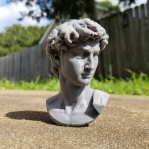 Head of Michelangelo's David