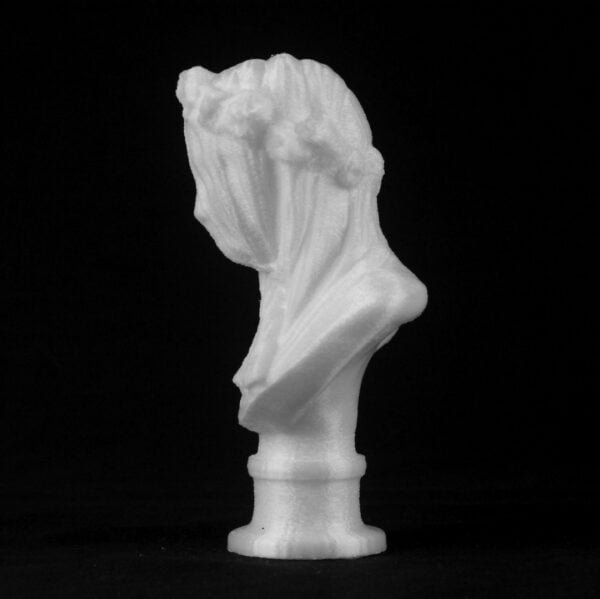 The Veiled Lady Sculpture 3d printed