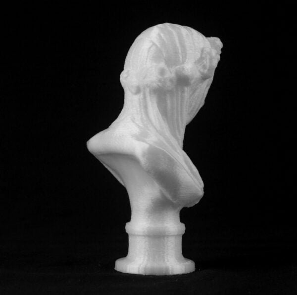 The Veiled Lady Sculpture 3d printed