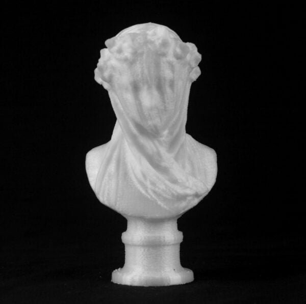 The Veiled Lady Sculpture 3d printed
