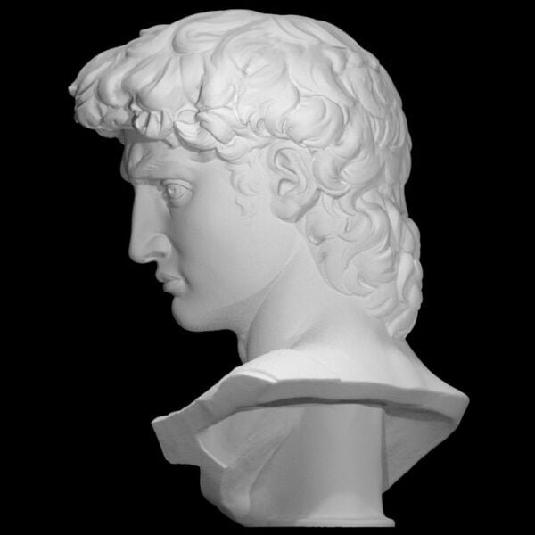 Head of Michelangelo's David