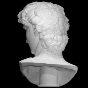 Head of Michelangelo's David