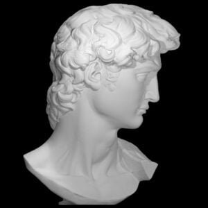 Head of Michelangelo's David