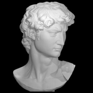 Head of Michelangelo's David
