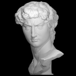 Head of Michelangelo's David