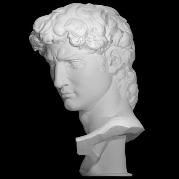Head of Michelangelo's David