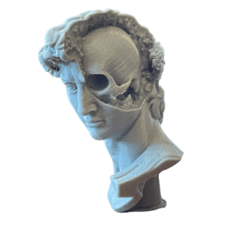 David's Mind Skull Statue Michelangelo's David Head Sculpture