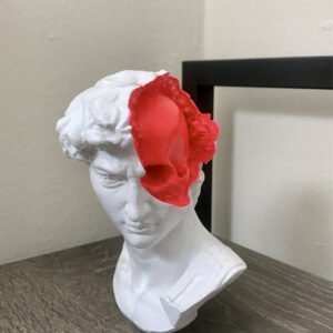 David's Mind David Skull Head 3d printed David Statue Red