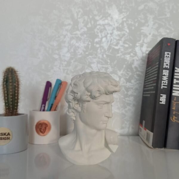 David's Mind David Skull Head 3d printed David Statue