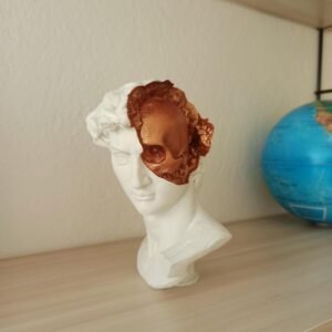 David's Mind David Skull Head 3d printed David Statue Brown