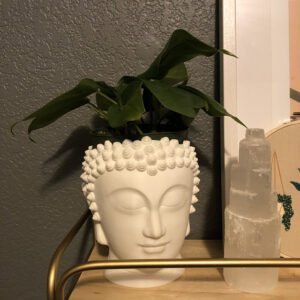 Buddha Head Planter Pot With Drainage