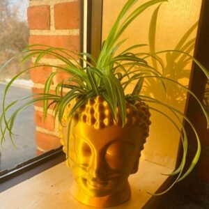 Zen Garden Buddha Pot