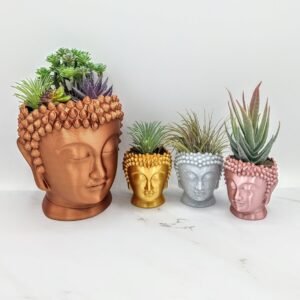 Zen Garden Buddha Pot