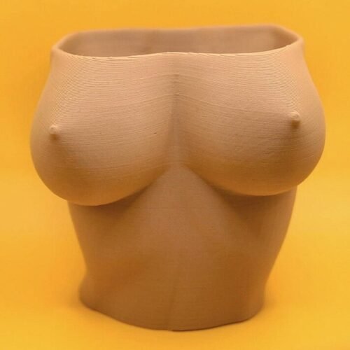 Boob Planter Feminine Torso Planter Pot