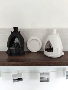 Elegant fancy cat pot planter with tray and holes for watering