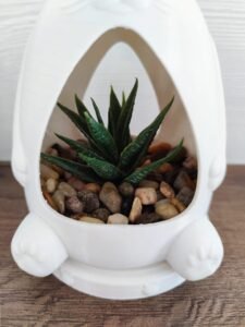 Elegant fancy cat pot planter with tray and holes for watering