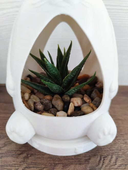 Elegant fancy cat pot planter with tray and holes for watering