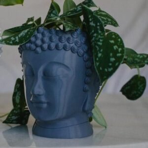 Zen Garden Buddha Pot